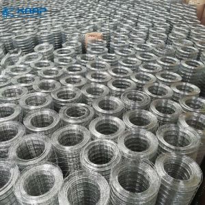 China Concrete Reinforcing Roll 0.8mm Galvanized Welded Wire Mesh factory