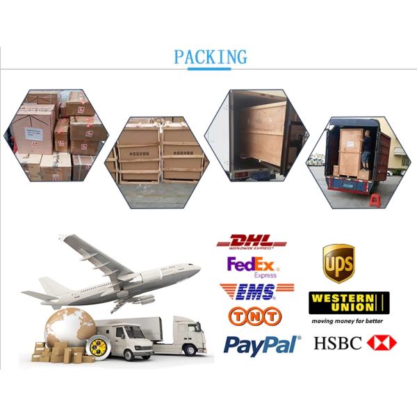 200g Automatic Packaging Machine For Tea Powder Sachet Pouch