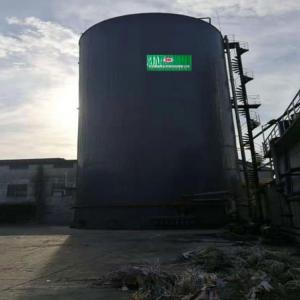 China Cow Dung Biogas Chp Plant EGSB CHP Wastewater Treatment Plant factory