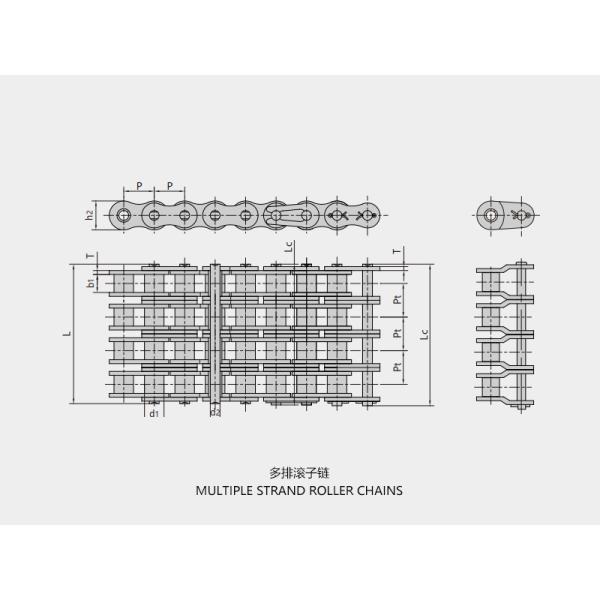 Short Pitch Precision Roller Chains