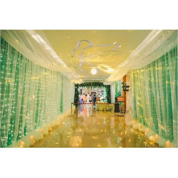 Twinkle Star 300 LED Window Curtain String Light