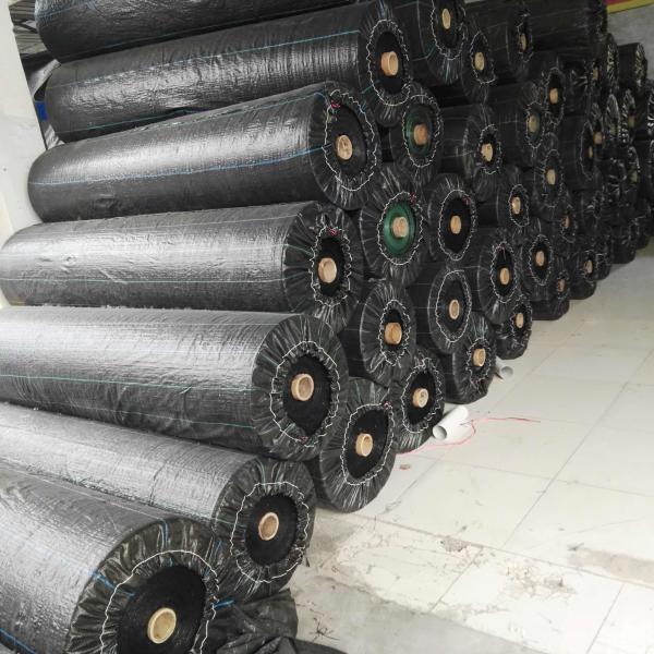 China Best Weed control cover Mat/ Weed barrier/ garde for woven ground cover factory