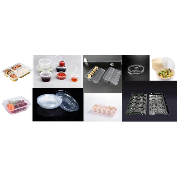 Fully Automatic Lunch Box Making Machine with Lifetime Technical Support Advanced Plastic Thermoforming Machine