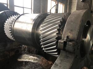 China High Precision Worm Wheel Gear For Transmission Gear Phosphate Mines factory