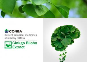 China Water Soluble Ginkgo Standardized Extract for Antioxidant used factory