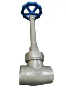 China 4 Inch Cryogenic Extended Bonnet Globe Valve For LNG , LC2H4 on sale