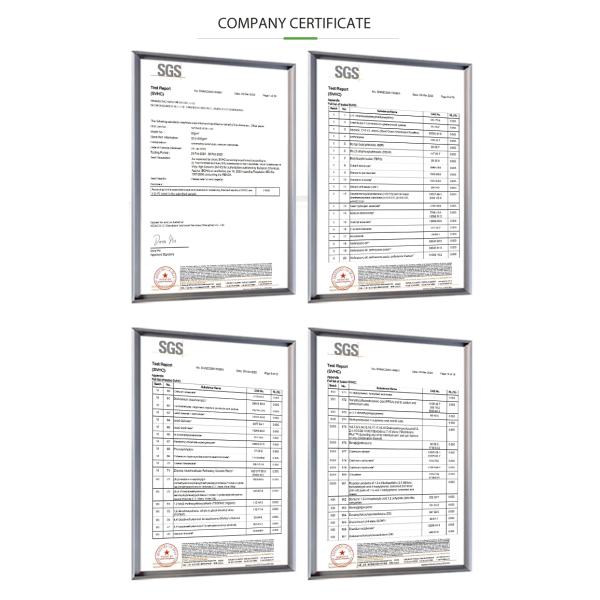 Custom Printing color Food Packaging Carrier Pop up Catering Tray Pizza Display Box Disposable Takeout Box