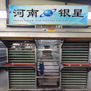 China Commercial 5000pcs/Layer Zn Al Steel Poultry Egg Collection System 100mm Width on sale