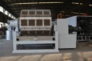 China Rotary Pulp Molding Paper Egg Tray Box Making Machine factory