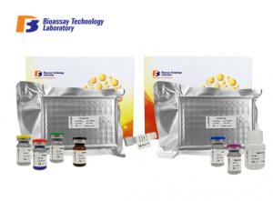 China Mouse Ovalbumin Specific Human IgE ELISA Kit / Elisa Diagnostic Kits For Research on sale