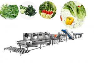 China Auto Salad Production Line Washing Cleaning Frozen Vegetable Bubble Washer factory
