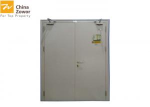 China 1 Hour Fire Rated Steel Double Door For Industrial Application/ Fire Safety Door factory