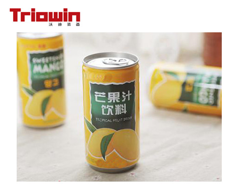 Automatic Fruit And Vegetable Processing Line Palletizer Machine For Mango Juice