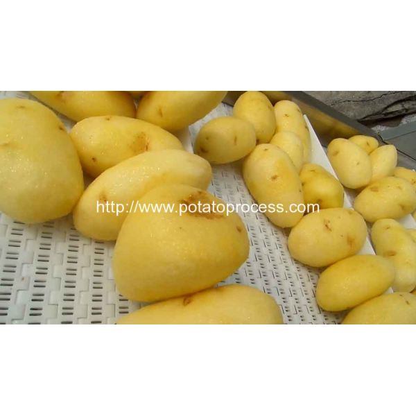 Brush Roller Type Potato Washing Peeling Machine