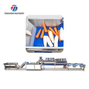 Enhance Your Production with Our State-of-the-Art Fruit And Vegetable Processing