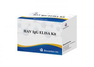 China HAV IgG Elisa Kit Antibody Diagnostic Kit For Hepatitis A Virus factory
