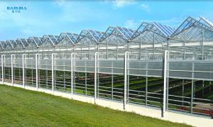 China Metal Frame Polytunnel Glass Venlo Type Greenhouse Stabilized 60x90m on sale