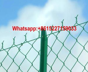 China Hook flower fence chain link fence aperture:70*70  size:2*4m colour: green,white,yellow factory