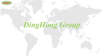 Shenzhen Ding Hong Optoelectronics Co., Ltd.