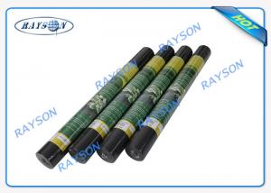 China Black Breathable PP Non Woven Fabric For Garden Fleece / Plant Cover Non Woven Landscape Fabric factory