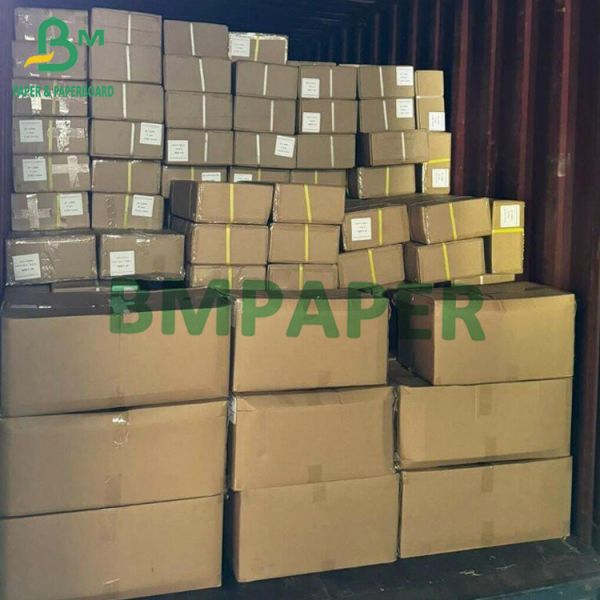 White Plotter Paper 50g - 80g White Plotter Paper Small Roll 50m/100m/150m/200m Length Carton Package
