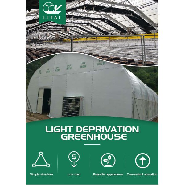 Vegetable Fruits Flowers Agricultural Light Deprivation Greenhouse with Plastic Shed