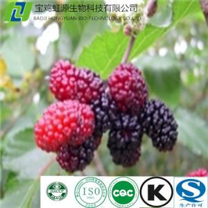 China Factory supply low price mulberry fruit extract 20% Anthocyanidin on sale