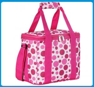 China Insulated Lunch Cooler bag fashion Lunch Tote bag ,Insulated 12-can carrying cooler bag factory