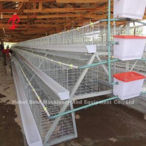 China 96 Birds And 120 Birds Chicken Battery Cage For Sale Star factory