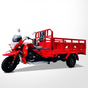 China DAYANG 2021 Model Motorized Tricycle 250 CC Gasoline Cargo Tricycle RUITENG Red 28 A on sale