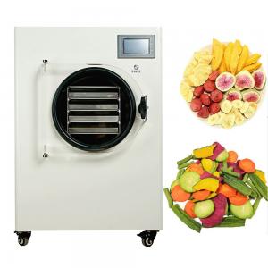China Small Mini Home Vacuum Freeze Dryer For Fruit And Vegertables Freeze Dryer factory
