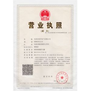 Yueqing City DOWE Electric Co.，LTD Certifications