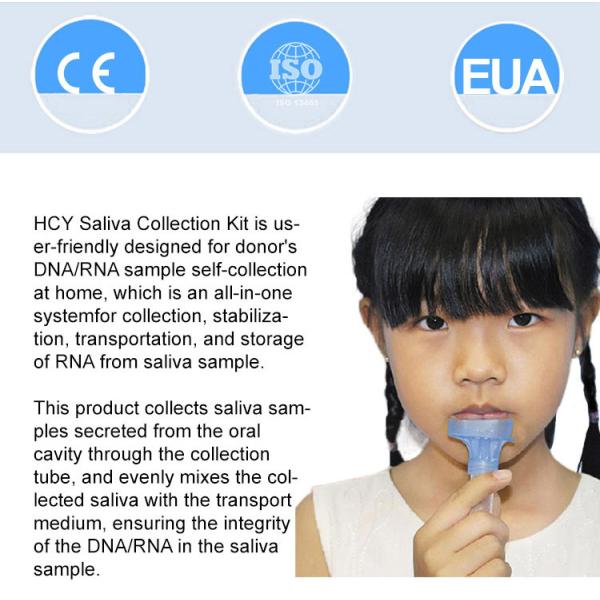 Medical Portable Vtm Saliva Collection Kits With Saliva Sterile Viral Transport