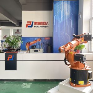 Changsha Pengju Robot Co., Ltd.