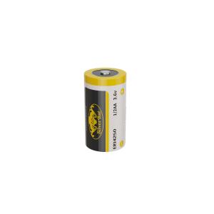 China 3.6V Non Rechargeable Battery on sale