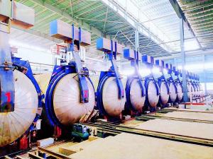 China Customized Sand  fully automatic autoclave Building Materials Production Line for wood factory
