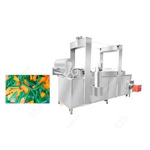 China High Efficiency Meat / Vegetable Blanching Machine Processing Equipment factory