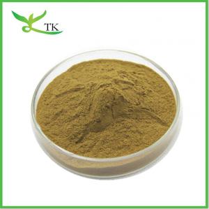 China Natural Herbal Extract Powder 10:1 Lavender Flower Powder Lavender Extract Powder factory