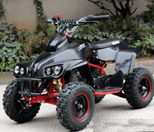 China 800w 48v Kids Electric Quad Bike , Electric Four Wheeler For Adults Shaft Drive Transmission factory