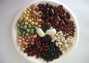 China Dried Beans Chinese White Kidney Beans on sale