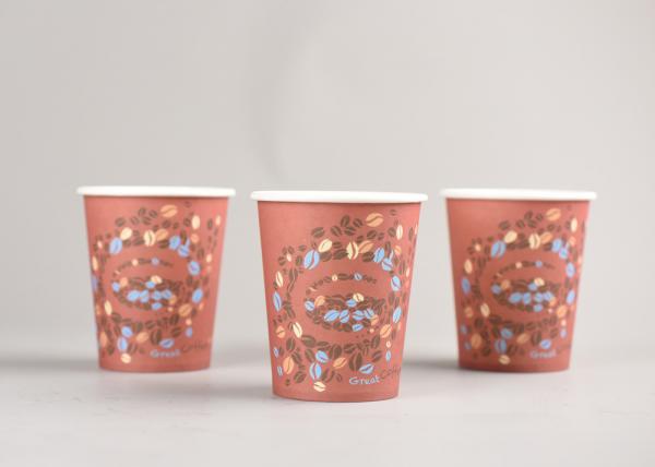 China Biodegradable Coffee Paper Cups Insulated For Coffee Shops Eco Friendly factory