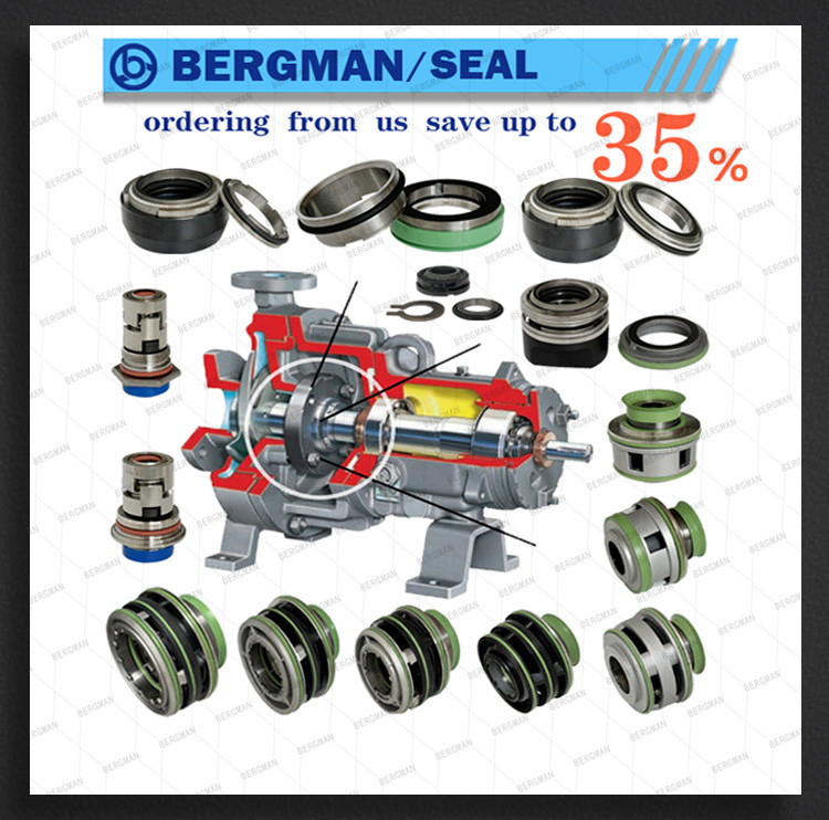 BERGMAN replace Flygt Pump seal 8009230