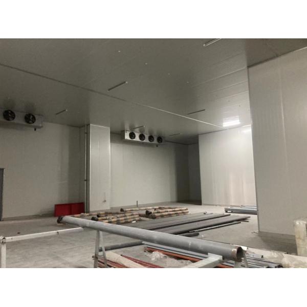 Customized Size Cold Storage Room Refrigeration Equipment with Low Price