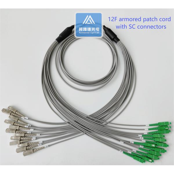 12 Core Spiral Armored Patch Cord