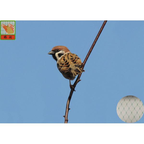 GREEN COLOR BIRD NETTING, AGRICULTURAL NETTING, EXTRUDED PLASTIC NETS, 2 METERS