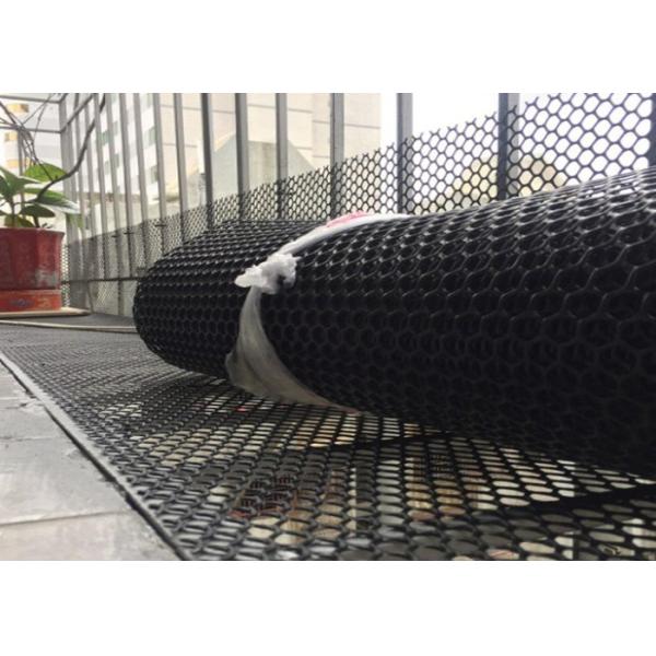 Black Colour Plastic Netting Mesh 20mmx20mm Hole Extruded