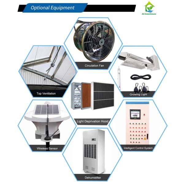 PE Film 220V Auto Light Dep Greenhouse 100% Blackout High Tunnel Greenhouse