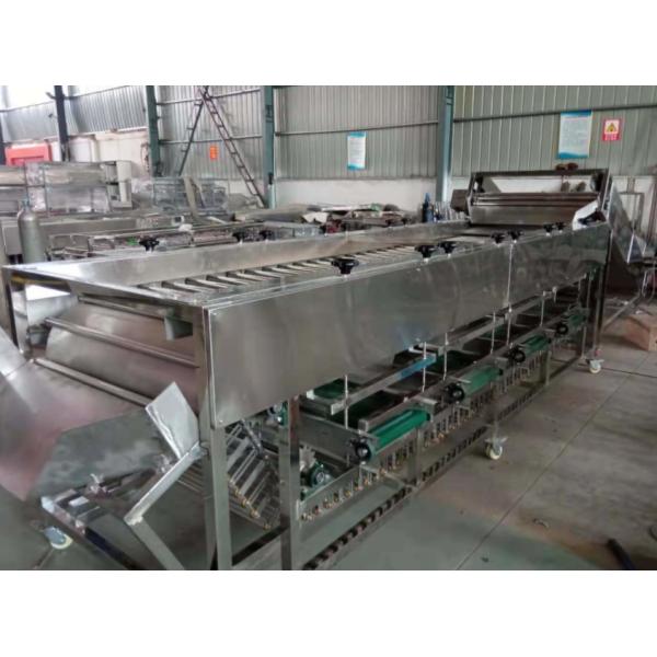 dates grading machine, dates sorting machine, dates sorter, dates grader