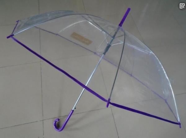 China Womens Collapsible Dome Umbrella Clear POE Canopy Water Repellent Purple Edge factory