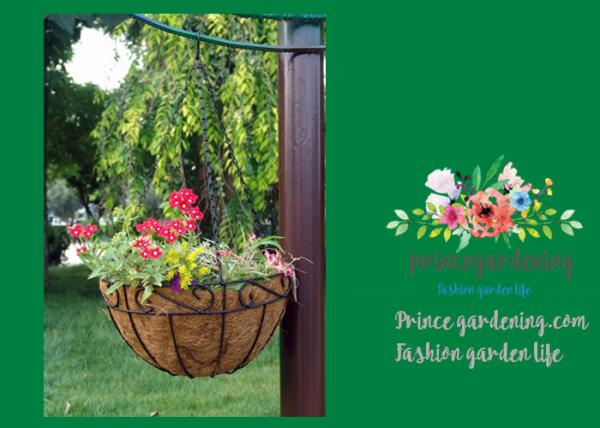 China Black Hanging Flower Baskets , Planted Hanging Baskets With Coco Liner factory